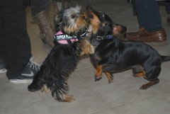 DSC_1853be