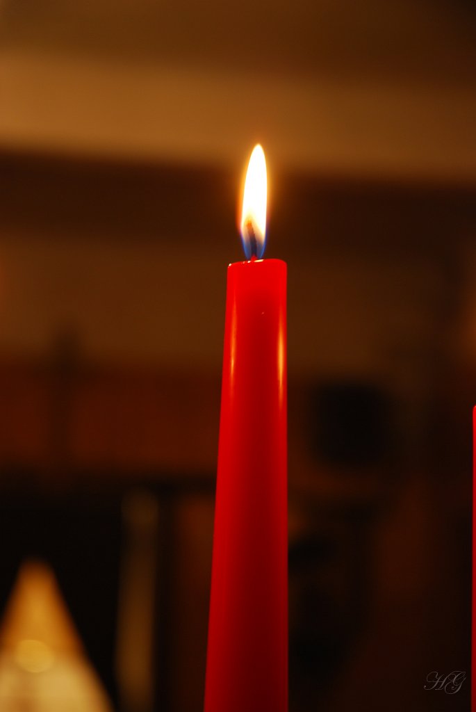 DSC_3124.JPG