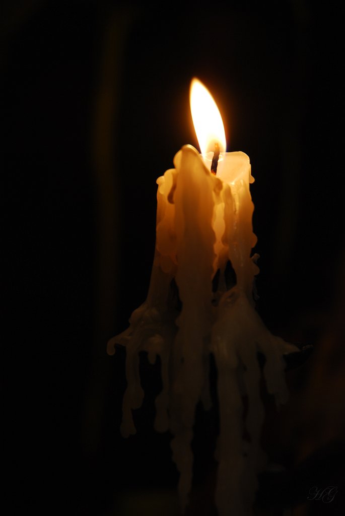 DSC_1208.JPG